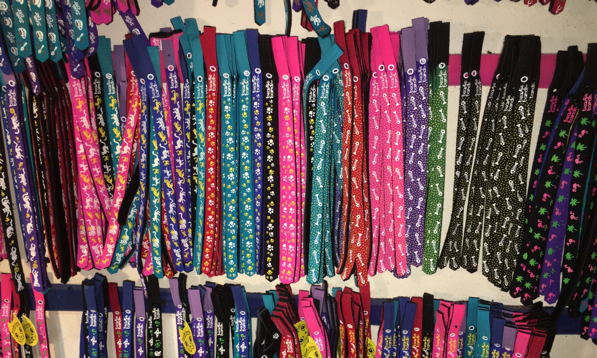 Beastie Bands Velcro Cat Collar Shelter Shop